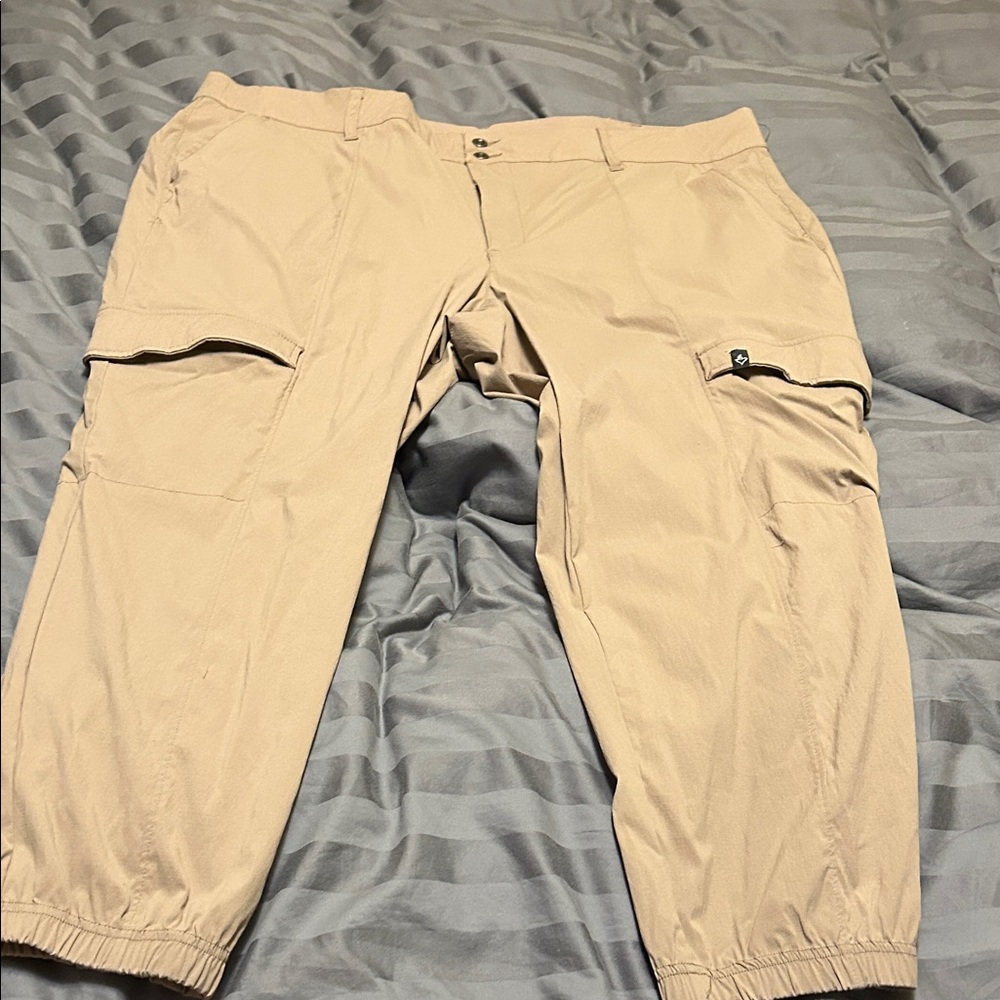 Torrid Women's Tan Cargo Pants